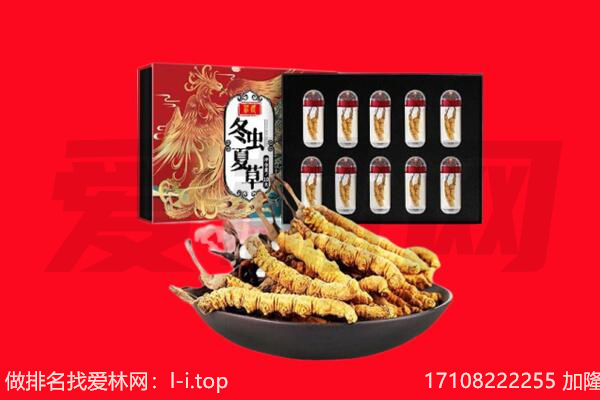 吉安市吉州回收虫草.jpg
